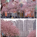 深圳旅游 缩略图 4