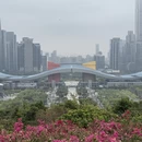 深圳旅游 缩略图 6