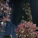 深圳旅游 缩略图 2