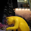 深圳旅游 缩略图 5