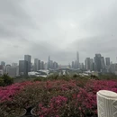 深圳旅游 缩略图 13