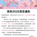 深圳旅游 缩略图 1
