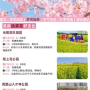 深圳旅游 缩略图 7