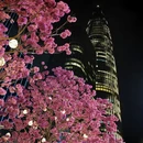 深圳旅游 缩略图 9