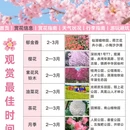 深圳旅游 缩略图 2