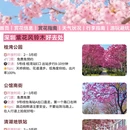 深圳旅游 缩略图 6