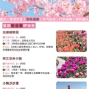 深圳旅游 缩略图 4