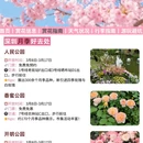 深圳旅游 缩略图 8