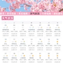 深圳旅游 缩略图 9