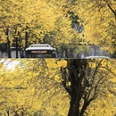 深圳旅游 缩略图 11