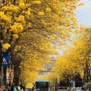 深圳旅游 缩略图 2