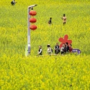 深圳旅游 缩略图 8