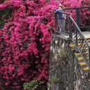 深圳旅游 缩略图 8