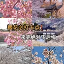 广州旅游 缩略图 1