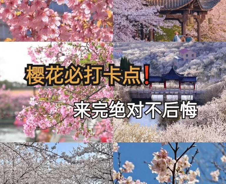广州旅游 1