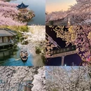 广州旅游 缩略图 3