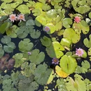 广州旅游 缩略图 10
