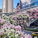 广州旅游 缩略图 6