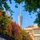 广州旅游 缩略图 13