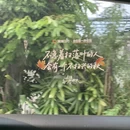 广州旅游 缩略图 4