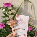 广州旅游 缩略图 10