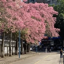 广州旅游 缩略图 16