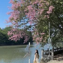 广州旅游 缩略图 15