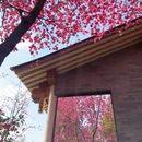 昆明旅游 缩略图 11