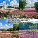 广州旅游 缩略图 4