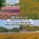 广州旅游 缩略图 5
