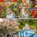广州旅游 缩略图 2