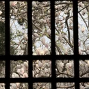 成都旅游 缩略图 9