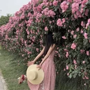 成都旅游 缩略图 2