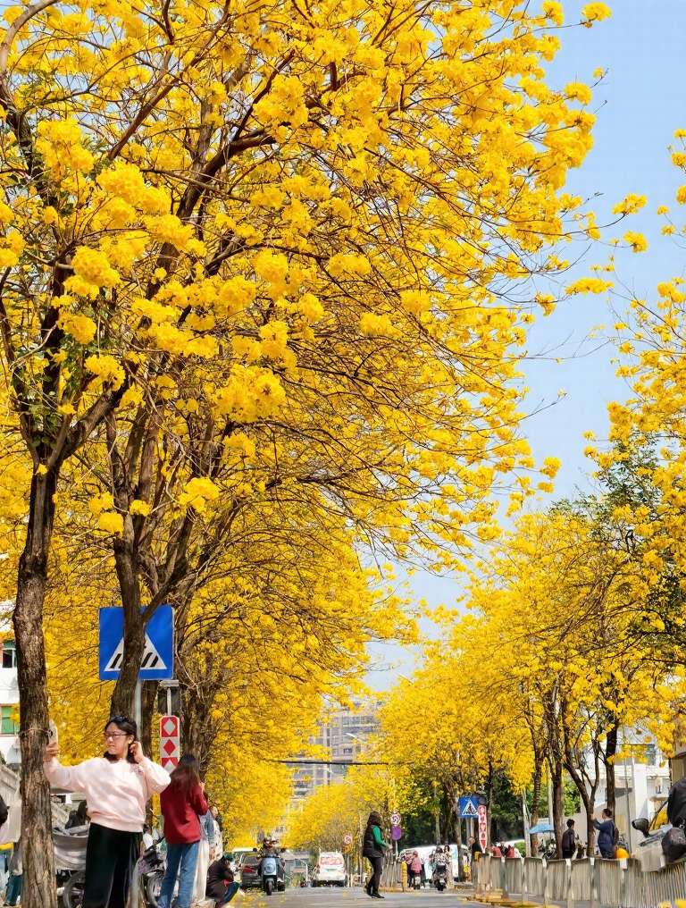 深圳旅游
