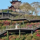 深圳旅游 缩略图 11