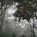 深圳旅游 缩略图 6