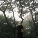 深圳旅游 缩略图 9