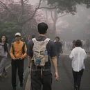 深圳旅游 缩略图 7