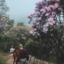 深圳旅游 缩略图 9