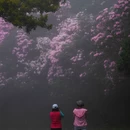 深圳旅游 缩略图 11