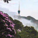 深圳旅游 缩略图 2