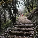 深圳旅游 缩略图 8