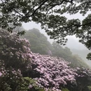 深圳旅游 缩略图 13
