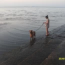 大连旅游 缩略图 10