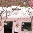 深圳旅游 缩略图 6