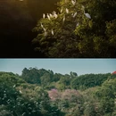 广州旅游 缩略图 7