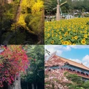 广州旅游 缩略图 6
