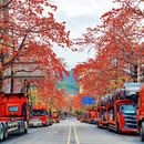 深圳旅游 缩略图 4