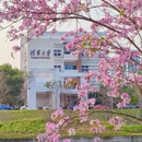 深圳旅游 缩略图 11