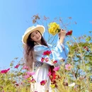 深圳旅游 缩略图 5